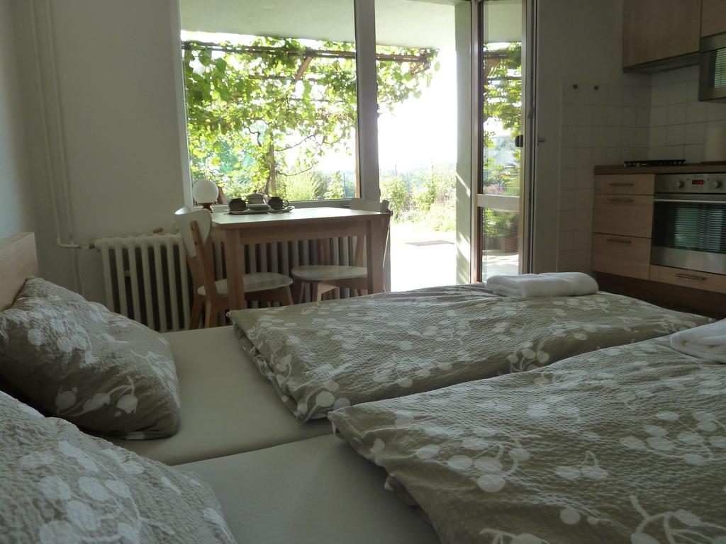 Ubytování Vinohrady 73 Znojmo Exterior foto
